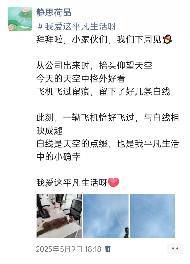 公司的小猫们img_20250515_181531.jpg