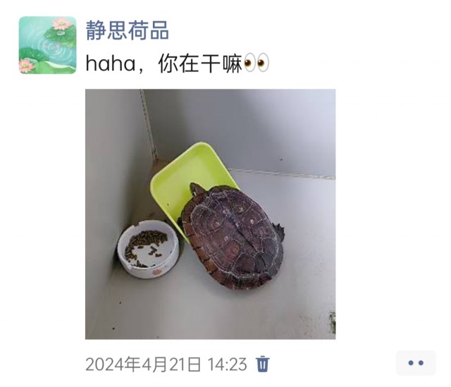 胡楚琪2024年的早安朋友圈合集img_20250303_160356.jpg