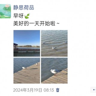 胡楚琪2024年的早安朋友圈合集img_20250303_150812.jpg