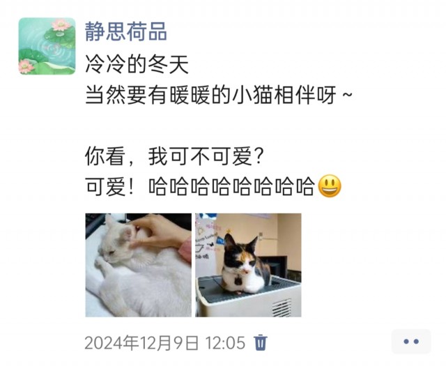 公司的小猫们img_20250306_105537.jpg