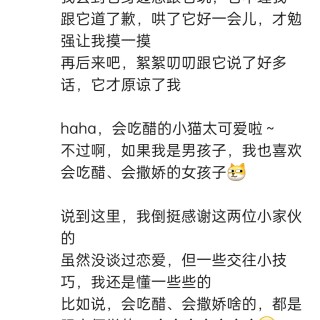 公司的小猫们img_20250306_114013.jpg