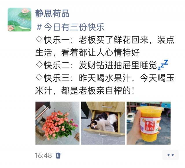 公司的小猫们img_20250422_165459.jpg