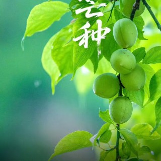 胡楚琪2025年的早安朋友圈合集mmexport1749458073493.jpg