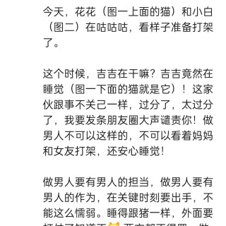 公司的小猫们img_20250525_190626.jpg