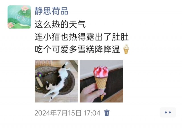 公司的小猫们img_20250305_172303.jpg