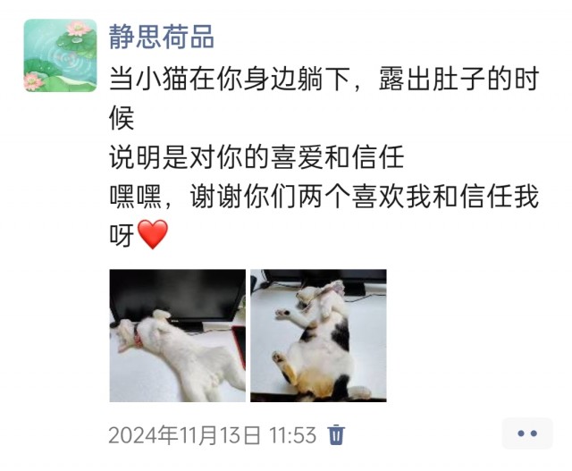公司的小猫们img_20250306_102737.jpg