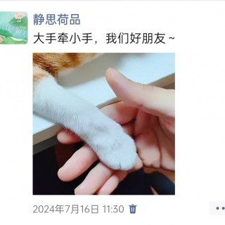 公司的小猫们img_20250305_172507.jpg
