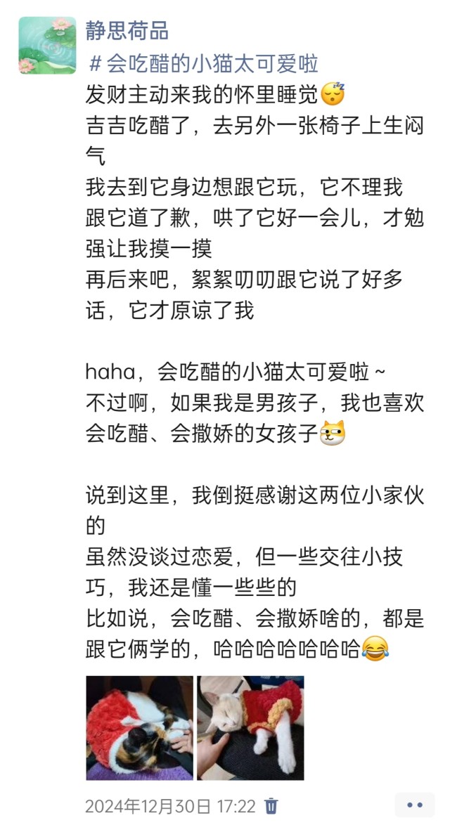 公司的小猫们img_20250306_114013.jpg