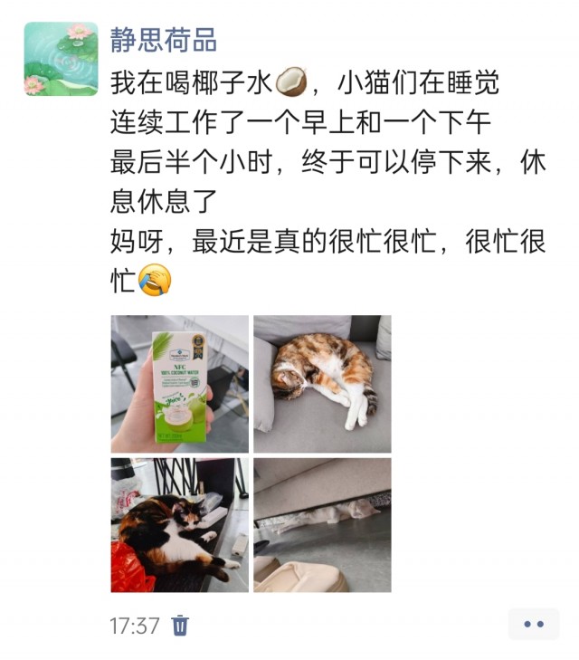 公司的小猫们img_20250410_174349.jpg