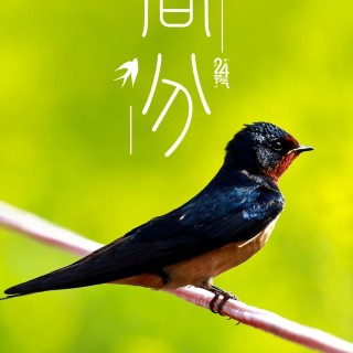 胡楚琪2025年的早安朋友圈合集mmexport1742430743723.jpg