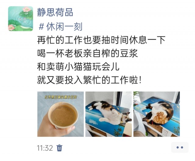 公司的小猫们img_20250410_113850.jpg