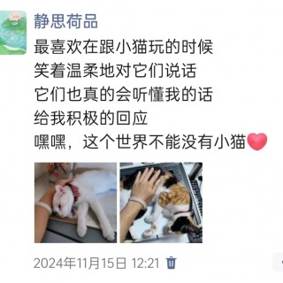公司的小猫们img_20250306_103708.jpg