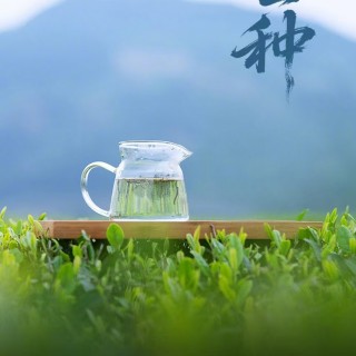 胡楚琪2025年的早安朋友圈合集mmexport1749458077287.jpg