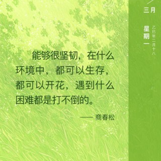胡楚琪2025年的早安朋友圈合集mmexportfe0a0f89968e7c7f7b1e26dade979a48_1742170633315.jpeg