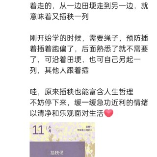 胡楚琪2024年的早安朋友圈合集img_20250303_145259.jpg