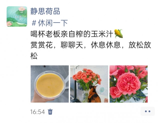 公司的小猫们img_20250427_170150.jpg