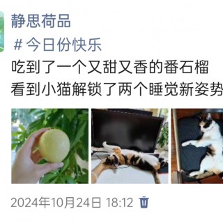 公司的小猫们img_20250306_095301.jpg