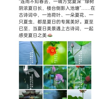 胡楚琪2024年的早安朋友圈合集img_20250303_172838.jpg