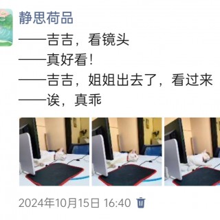 公司的小猫们img_20250306_095222.jpg