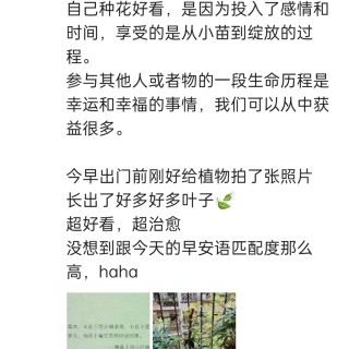 胡楚琪2024年的早安朋友圈合集img_20250303_162448.jpg