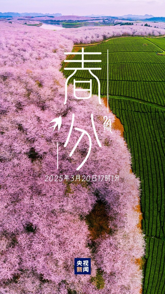 胡楚琪2025年的早安朋友圈合集mmexport1742430741203.jpg