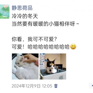 公司的小猫们img_20250306_105537.jpg