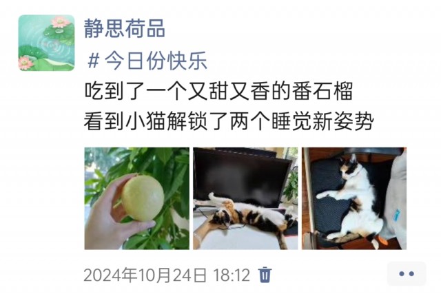 公司的小猫们img_20250306_095301.jpg