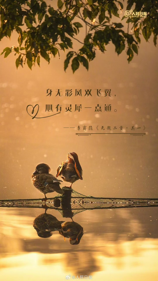 胡楚琪2024年的早安朋友圈合集mmexport1741054637100.jpg