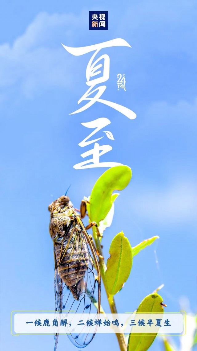 胡楚琪2025年的早安朋友圈合集mmexport1751212812648.jpg