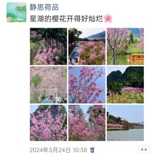 胡楚琪2024年的早安朋友圈合集img_20250303_151717.jpg