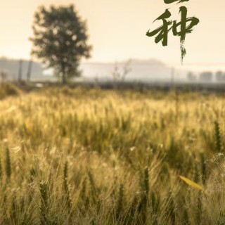 胡楚琪2025年的早安朋友圈合集mmexport1749458062411.jpg