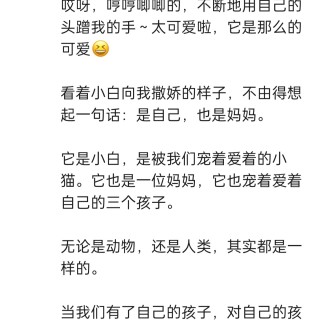 公司的小猫们img_20250806_214505.jpg