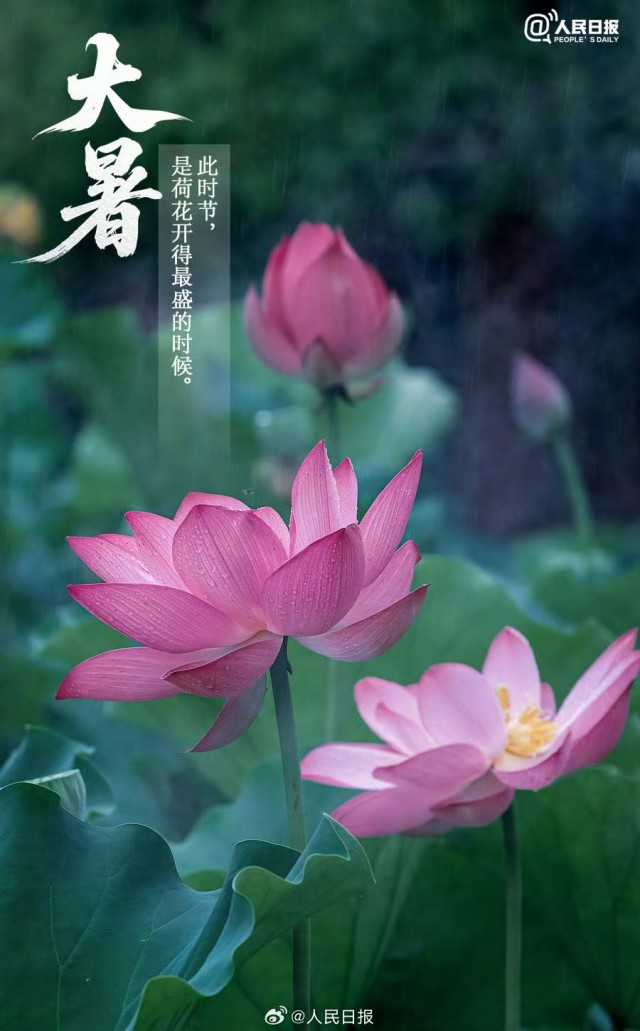 胡楚琪2025年的早安朋友圈合集mmexport1753543013447.jpg