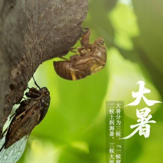 胡楚琪2025年的早安朋友圈合集mmexport1753543006563.jpg