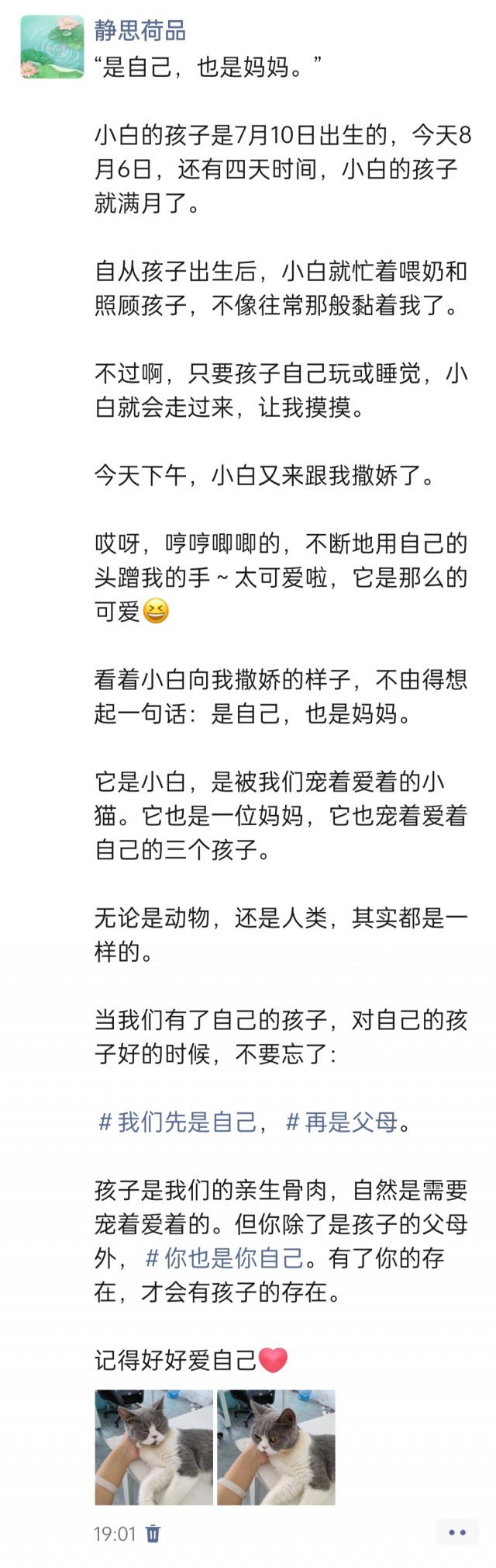 公司的小猫们img_20250806_214505.jpg