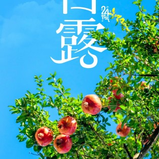 胡楚琪2025年的早安朋友圈合集mmexport1757492613750.jpg