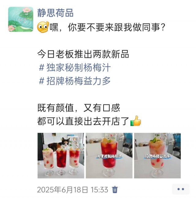 公司的小猫们img_20250731_112345.jpg