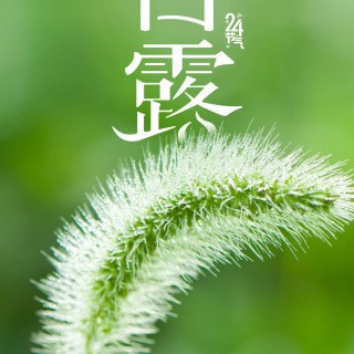 胡楚琪2025年的早安朋友圈合集mmexport1757492609319.jpg