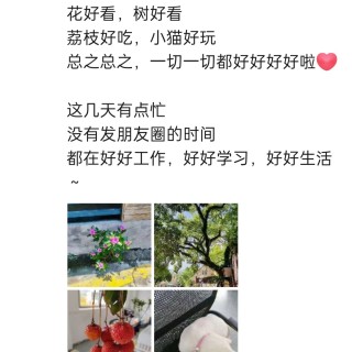 公司的小猫们img_20250731_174215.jpg