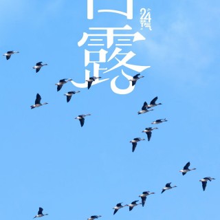 胡楚琪2025年的早安朋友圈合集mmexport1757492601144.jpg