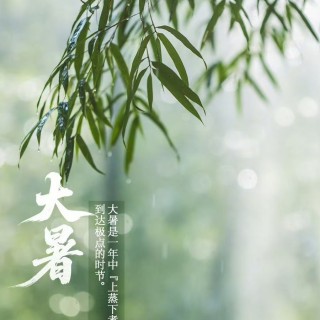 胡楚琪2025年的早安朋友圈合集mmexport1753543004365.jpg