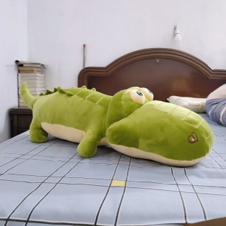 站长给我买的公仔