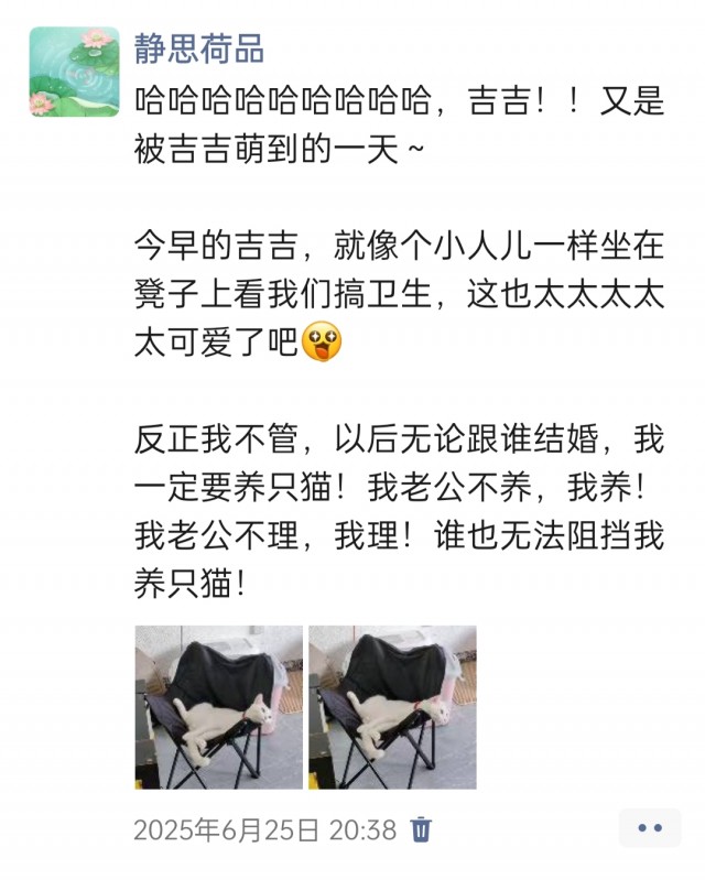 公司的小猫们img_20250731_113309.jpg