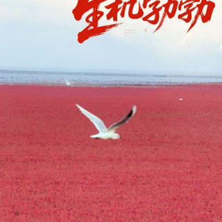 胡楚琪2025年的早安朋友圈合集mmexport1760431554303.jpg