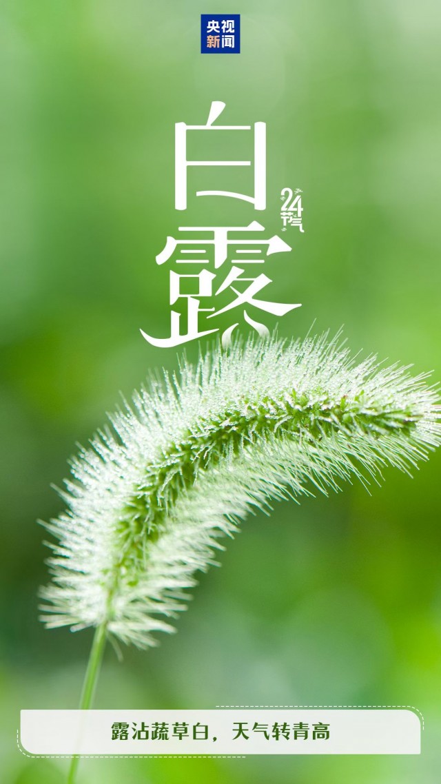 胡楚琪2025年的早安朋友圈合集mmexport1757492609319.jpg