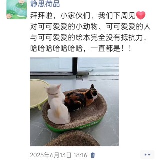 公司的小猫们img_20250731_111958.jpg