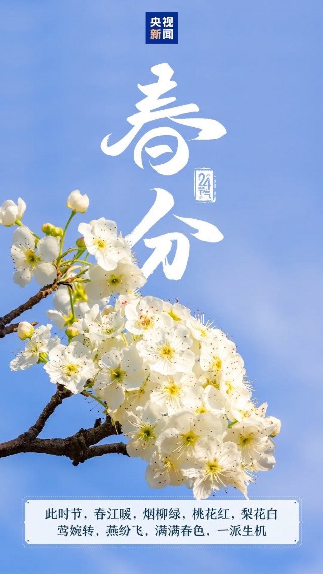胡楚琪2026年的早安朋友圈合集mmexport1783156039021.jpg