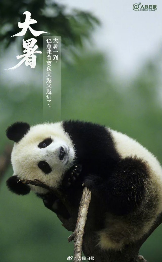 胡楚琪2025年的早安朋友圈合集mmexport1753543019859.jpg