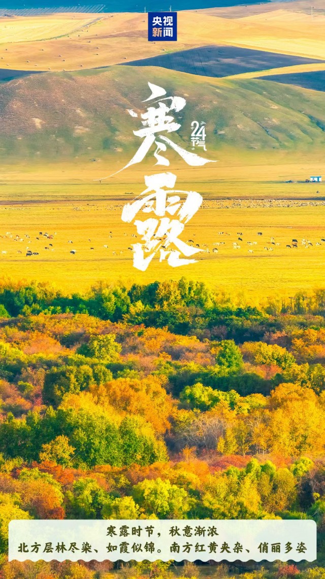 胡楚琪2025年的早安朋友圈合集mmexport1760431824816.jpg