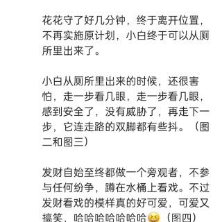 公司的小猫们img_20250731_112514.jpg
